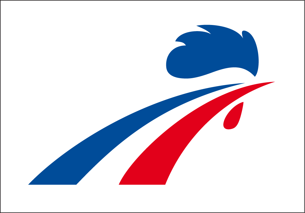 France 2000-Pres Jersey Logo iron on heat transfer